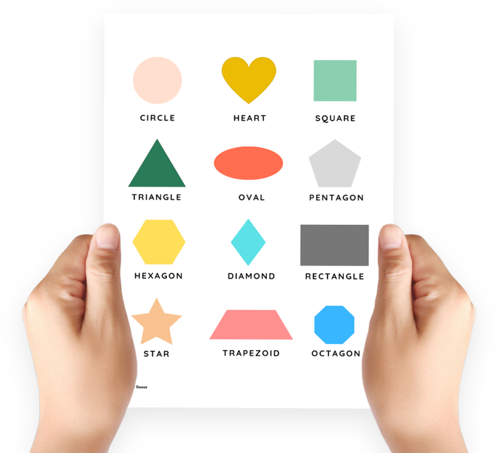Shapes Memory Game - Other Goose